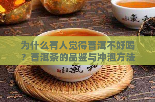 为什么有人觉得普洱不好喝？普洱茶的品鉴与冲泡方法解析