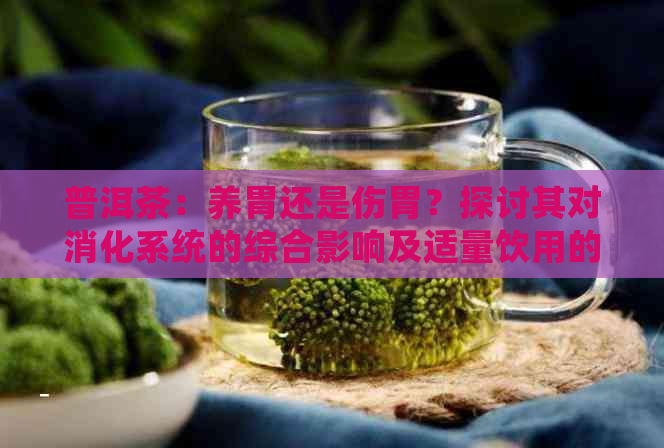 普洱茶：养胃还是伤胃？探讨其对消化系统的综合影响及适量饮用的重要性