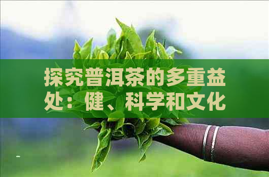 探究普洱茶的多重益处：健、科学和文化视角