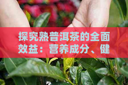 探究熟普洱茶的全面效益：营养成分、健益处及市场价值