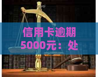 信用卡逾期5000元：处理策略、影响与解决方案全面解析