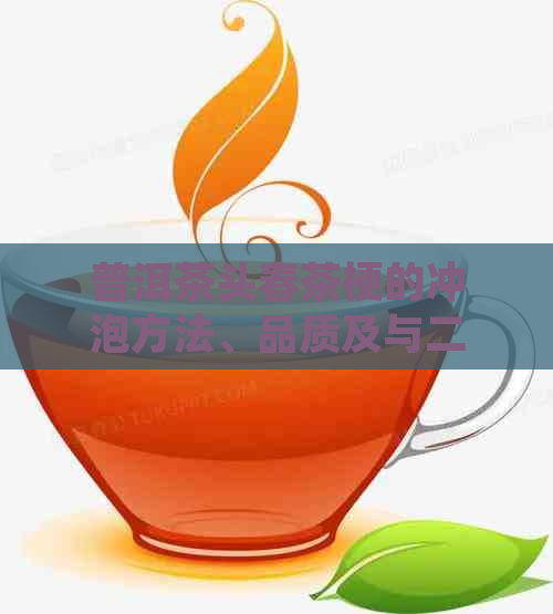 普洱茶头春茶梗的冲泡方法、品质及与二春茶的区别