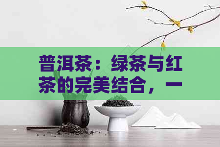 普洱茶：绿茶与红茶的完美结合，一篇全面解析普洱茶特性与品饮方法的文章