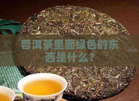 普洱茶里面绿色的东西是什么？