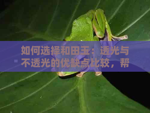 如何选择和田玉：透光与不透光的优缺点比较，帮助您做出更明智的选择