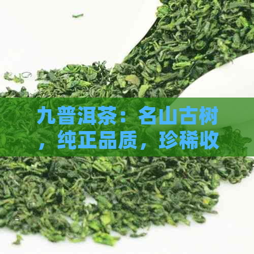 九普洱茶：名山古树，纯正品质，珍稀收藏价值与市场价格解析