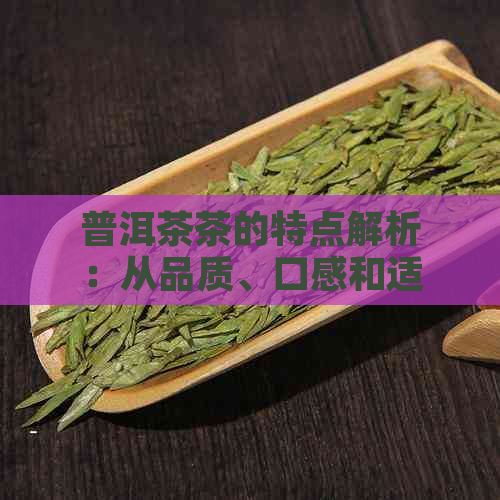 普洱茶茶的特点解析：从品质、口感和适宜饮用节全面了解普洱茶叶