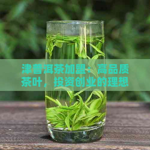 津普洱茶加盟：高品质茶叶，投资创业的理想选择