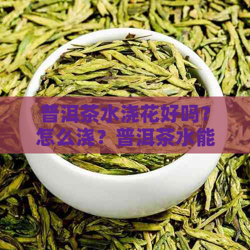 普洱茶水浇花好吗？怎么浇？普洱茶水能浇花吗？普洱茶茶水可以浇花吗？