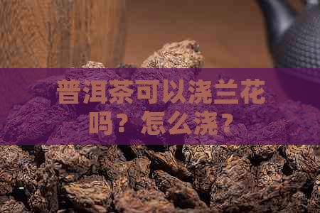 普洱茶可以浇兰花吗？怎么浇？