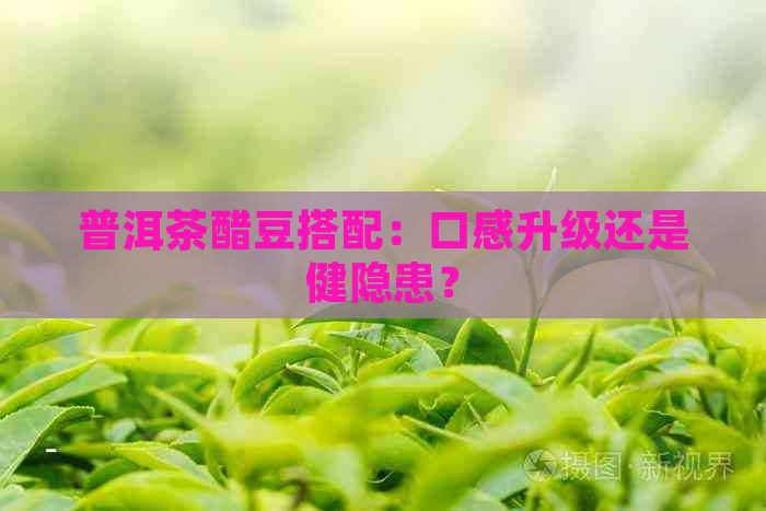 普洱茶醋豆搭配：口感升级还是健隐患？