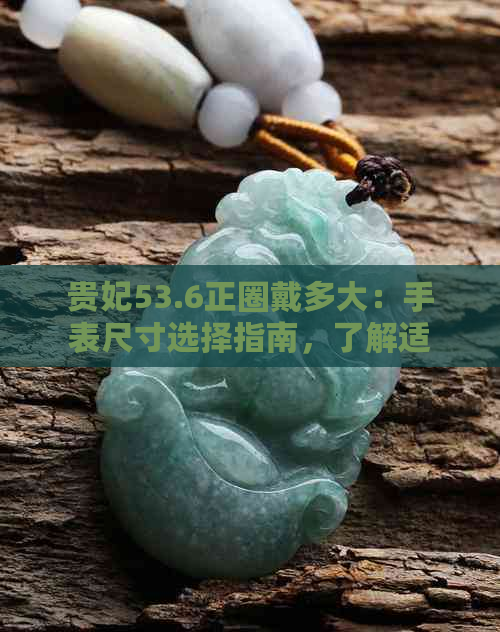 贵妃53.6正圈戴多大：手表尺寸选择指南，了解适合自己的表盘大小