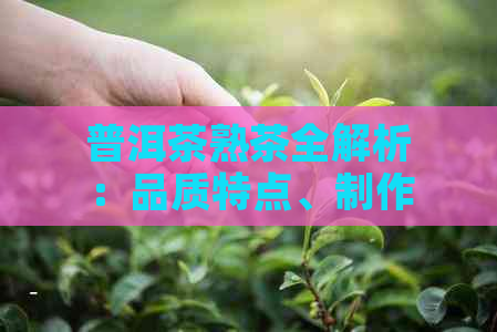 普洱茶熟茶全解析：品质特点、制作工艺、品鉴方法与养生功效一应俱全