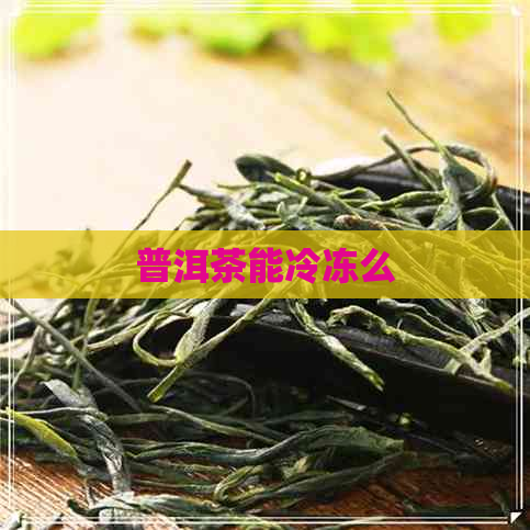 普洱茶能冷冻么