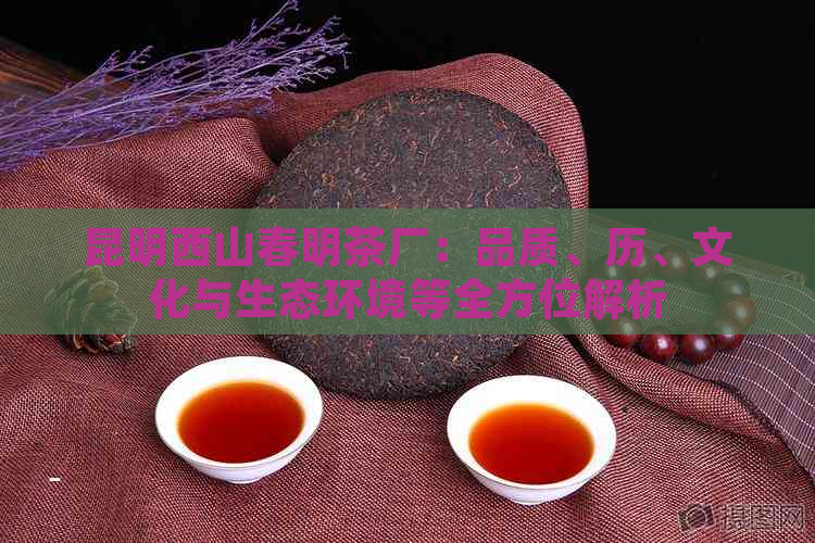 昆明西山春明茶厂：品质、历、文化与生态环境等全方位解析