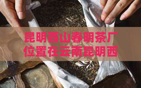 昆明西山春明茶厂位置在云南昆明西山区，生产千年古树茶。