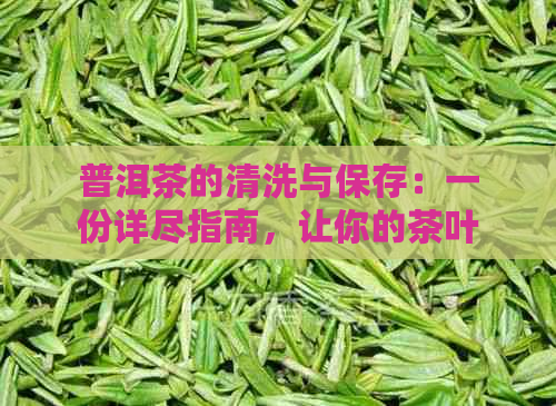 普洱茶的清洗与保存：一份详尽指南，让你的茶叶焕发新生