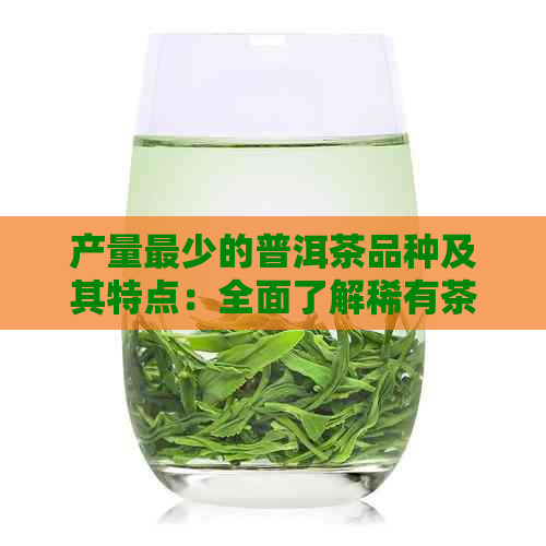 产量最少的普洱茶品种及其特点：全面了解稀有茶叶的价值与口感