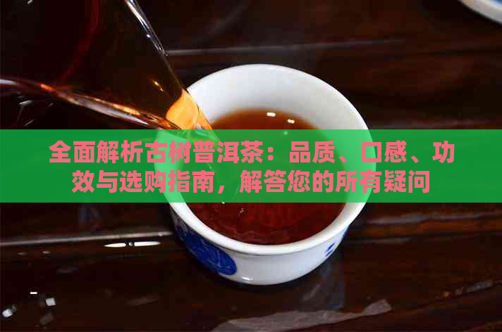 全面解析古树普洱茶：品质、口感、功效与选购指南，解答您的所有疑问