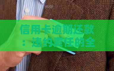 信用卡逾期还款：违约责任的全面解析与应对策略