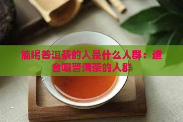 能喝普洱茶的人是什么人群：适合喝普洱茶的人群