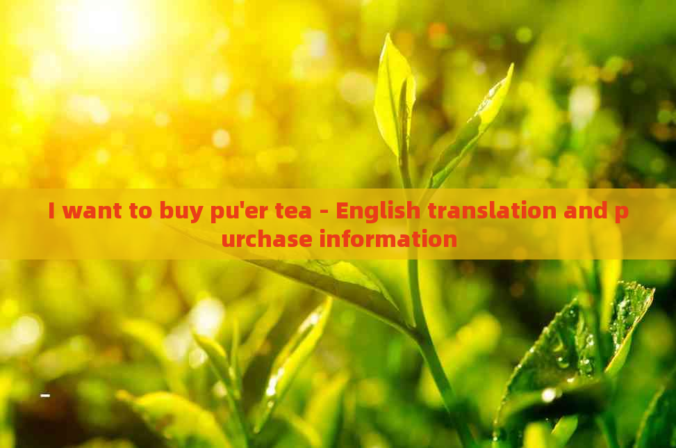 I want to buy pu'er tea - English translation and purchase information