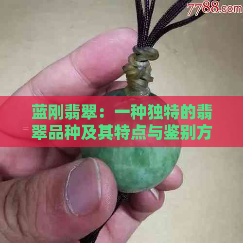 蓝刚翡翠：一种独特的翡翠品种及其特点与鉴别方法全面解析