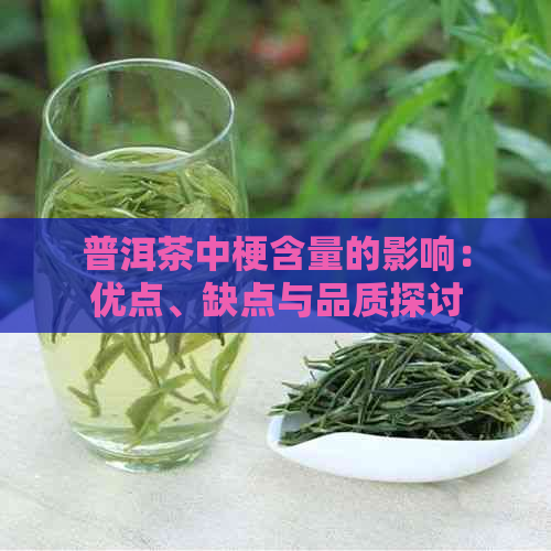 普洱茶中梗含量的影响：优点、缺点与品质探讨