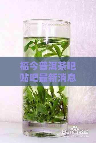 福今普洱茶吧贴吧最新消息：查看福今普洱茶吧百度贴吧的最新动态与讨论。