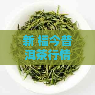 新 福今普洱茶行情报价网 - 专业普洱茶价格查询与市场分析平台