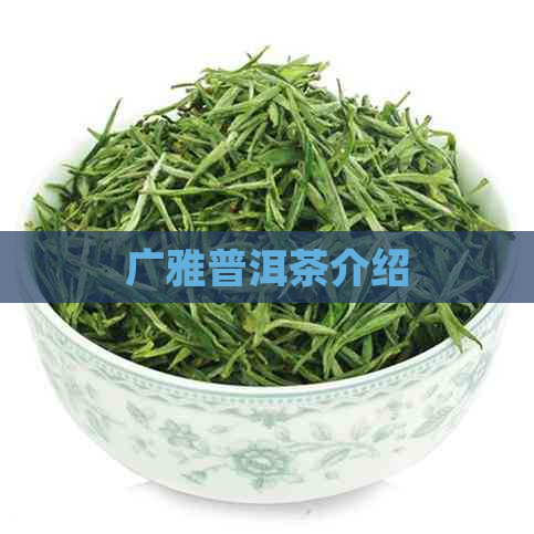 广雅普洱茶介绍