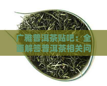 广雅普洱茶贴吧：全面解答普洱茶相关问题，让品茗更专业更有味！