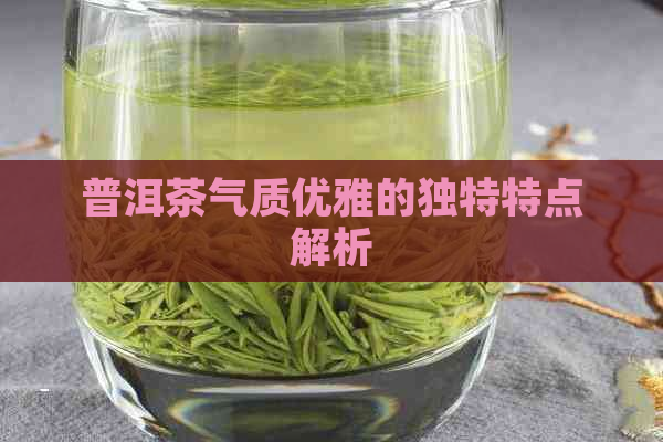 普洱茶气质优雅的独特特点解析