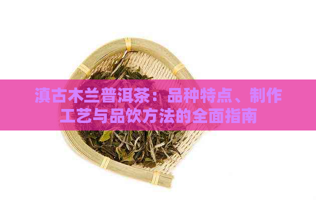 滇古木兰普洱茶：品种特点、制作工艺与品饮方法的全面指南