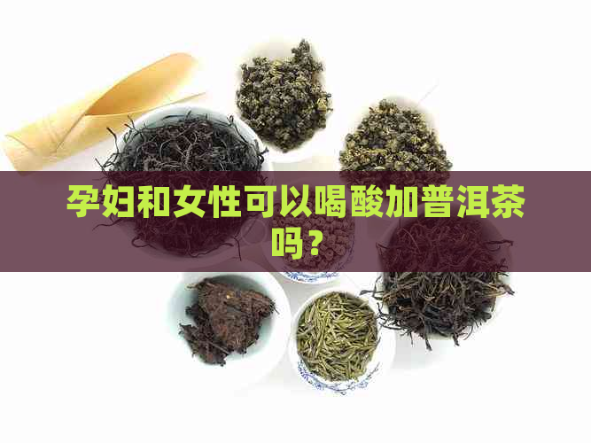 孕妇和女性可以喝酸加普洱茶吗？