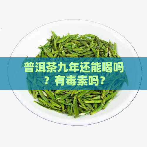 普洱茶九年还能喝吗？有素吗？