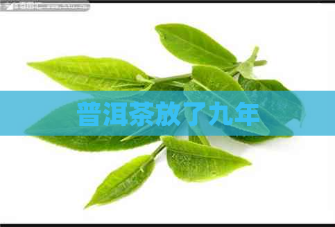 普洱茶放了九年