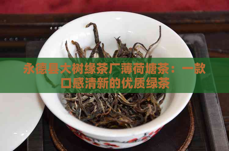 永德县大树缘茶厂薄荷塘茶：一款口感清新的优质绿茶