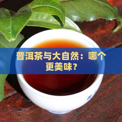 普洱茶与大自然：哪个更美味？