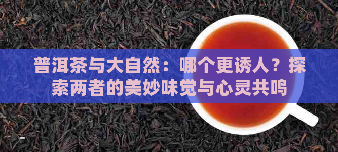 普洱茶与大自然：哪个更诱人？探索两者的美妙味觉与心灵共鸣