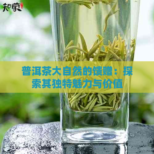 普洱茶大自然的馈赠：探索其独特魅力与价值