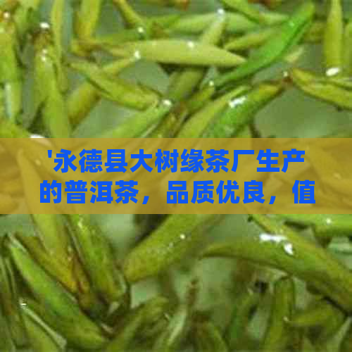 '永德县大树缘茶厂生产的普洱茶，品质优良，值得一试'