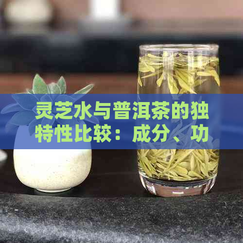 灵芝水与普洱茶的独特性比较：成分、功效和口感的深入剖析