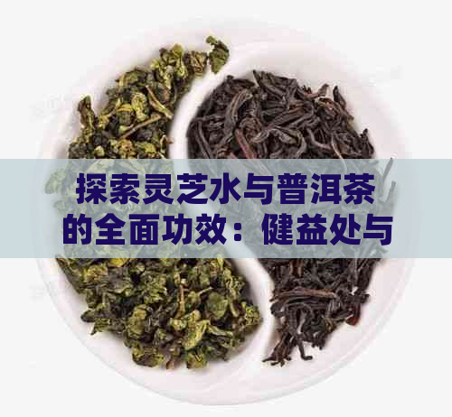 探索灵芝水与普洱茶的全面功效：健益处与适用人群详解