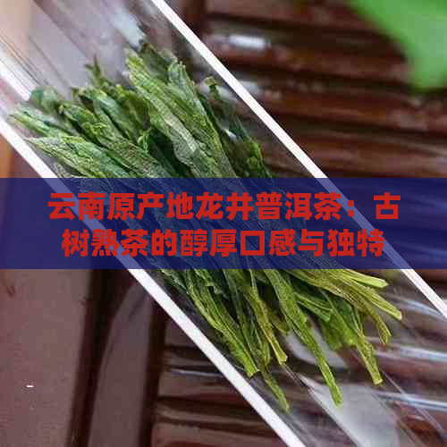 云南原产地龙井普洱茶：古树熟茶的醇厚口感与独特风味