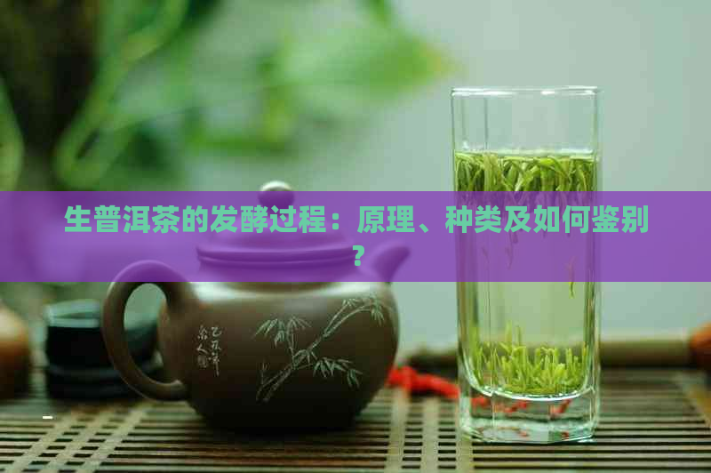 生普洱茶的发酵过程：原理、种类及如何鉴别？