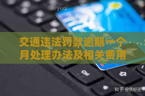 交通违法罚款逾期一个月处理办法及相关费用