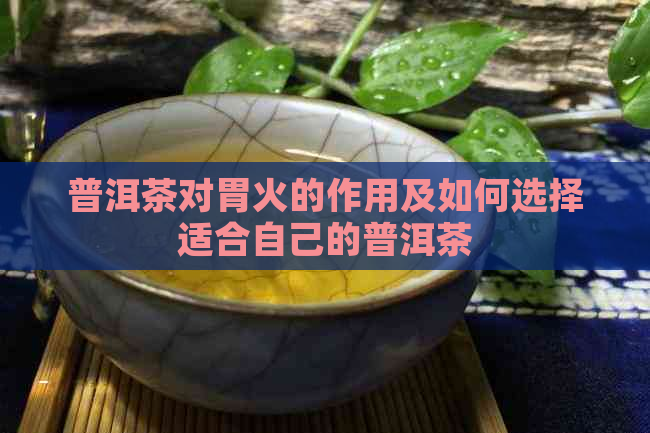 普洱茶对胃火的作用及如何选择适合自己的普洱茶