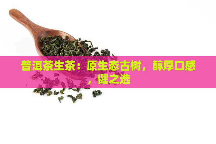 普洱茶生茶：原生态古树，醇厚口感，健之选