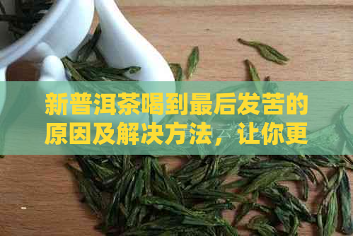 新普洱茶喝到最后发苦的原因及解决方法，让你更好地品尝普洱茶的魅力